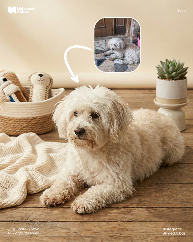 هيك بتحوّل صورة قديمة لصورة تجارية احترافية برومبت